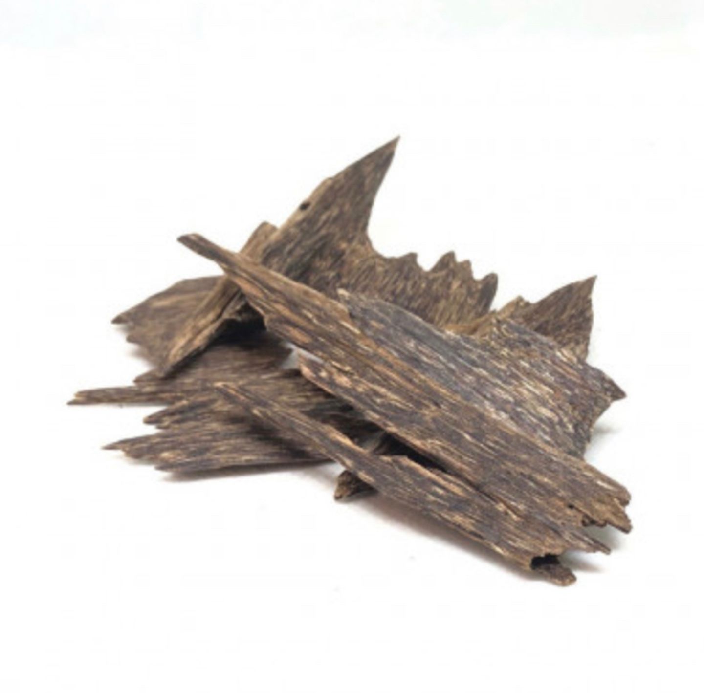 Malaysian Agarwood