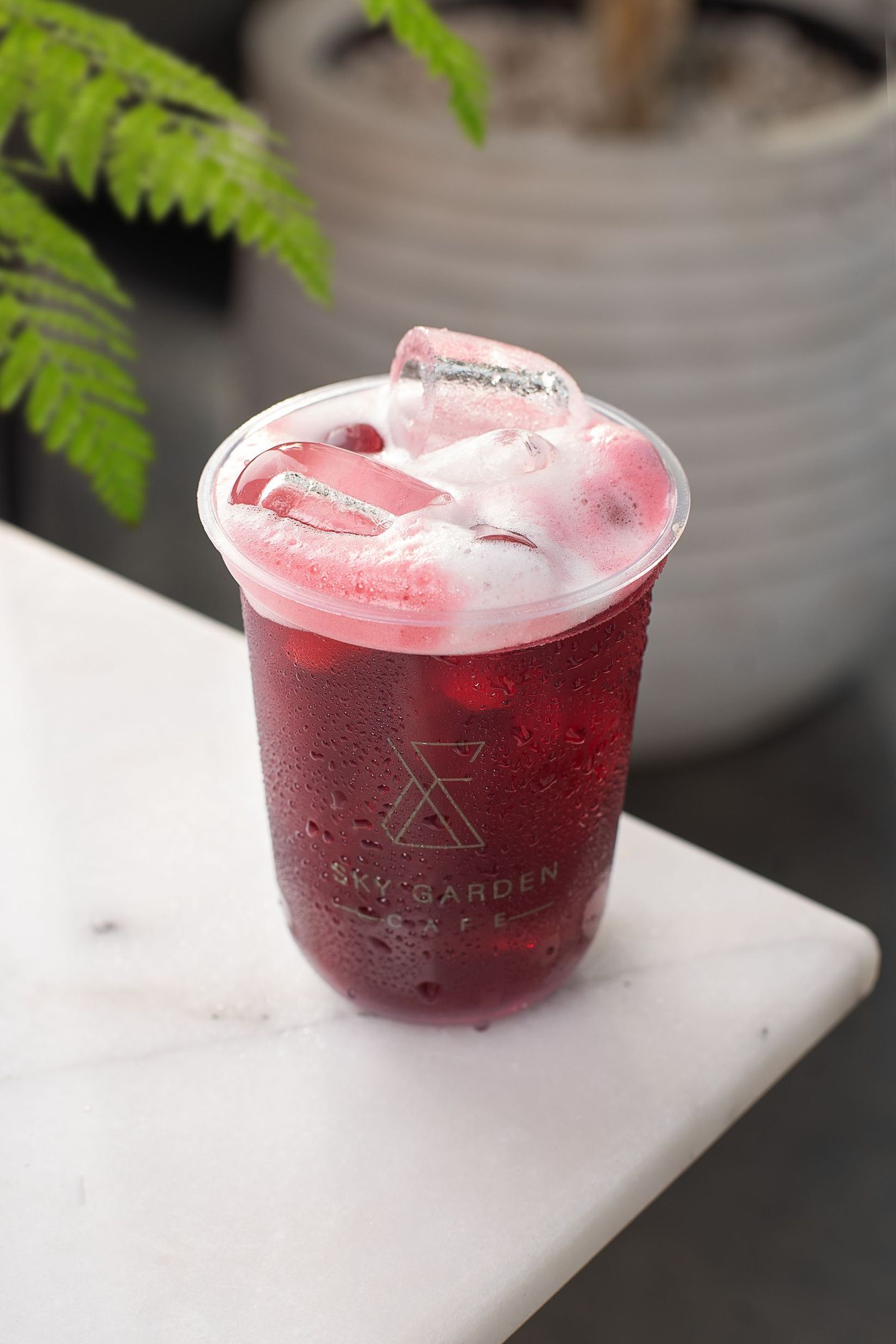 Ice Hibiscus