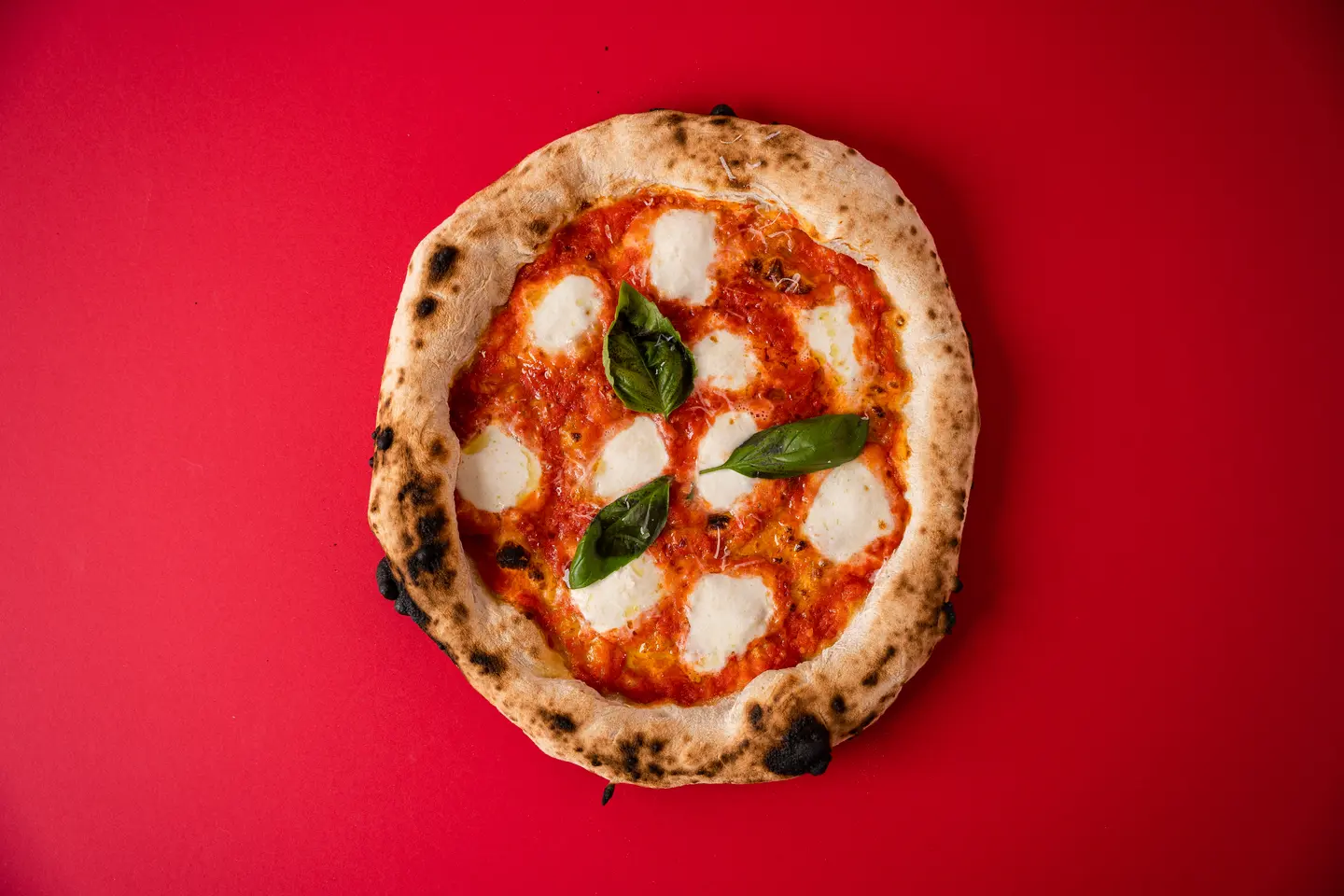 Buffalo Margherita