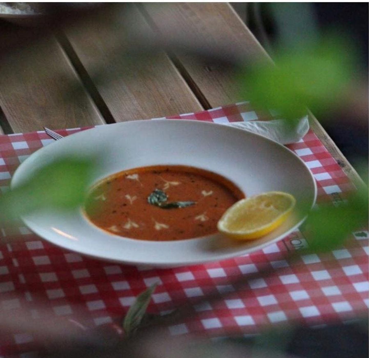 شوربة الطماطم