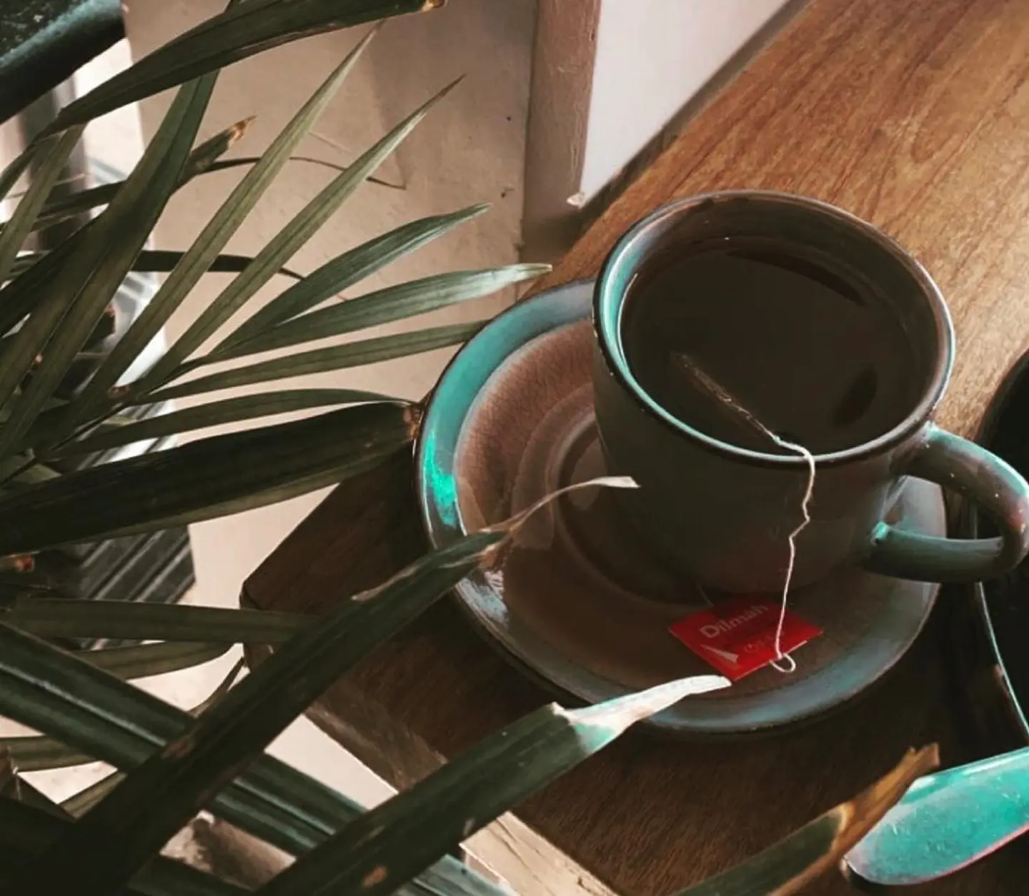 شاي فاخر