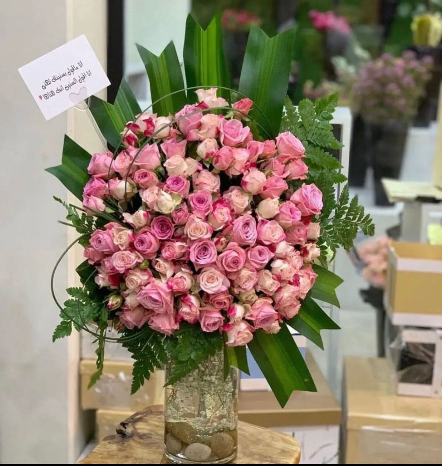 فازة النعومة