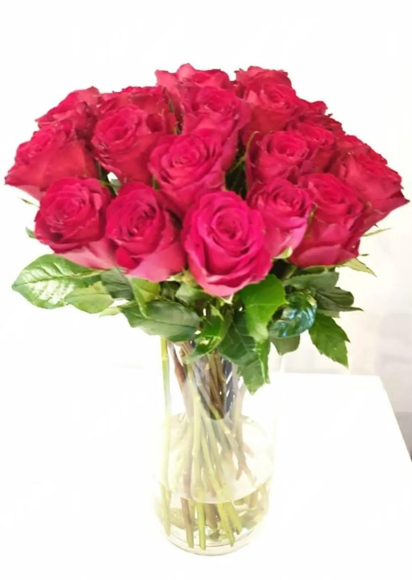 Fuchsia Rose Vase