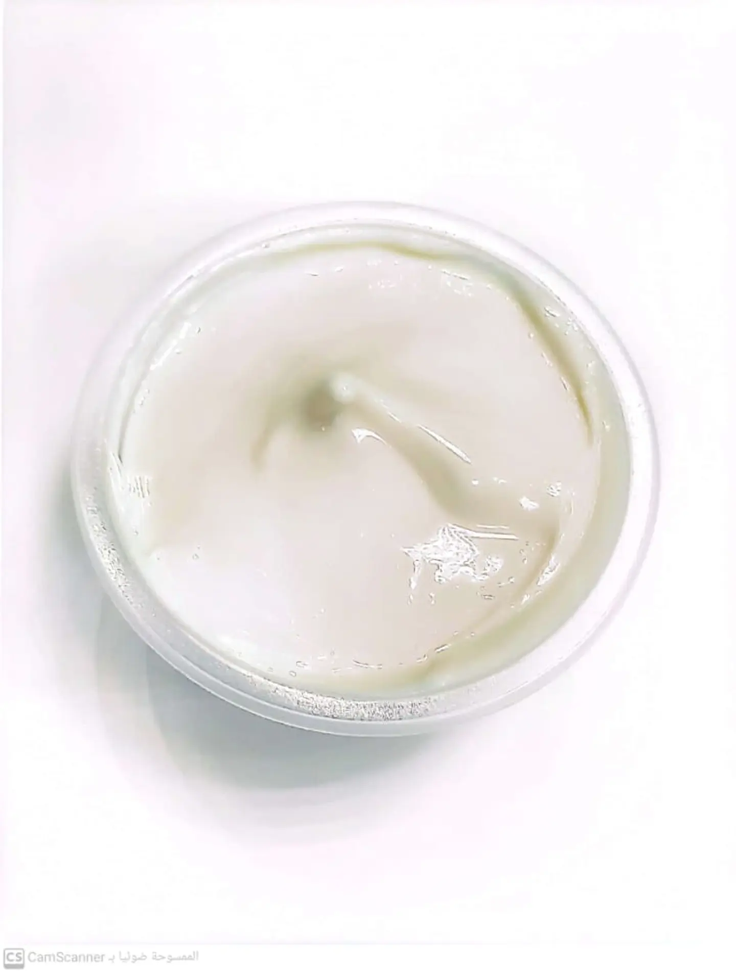 Mayonnaise
