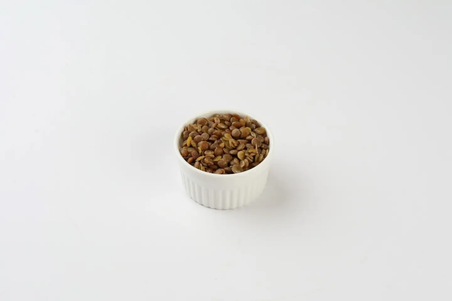 Lentil