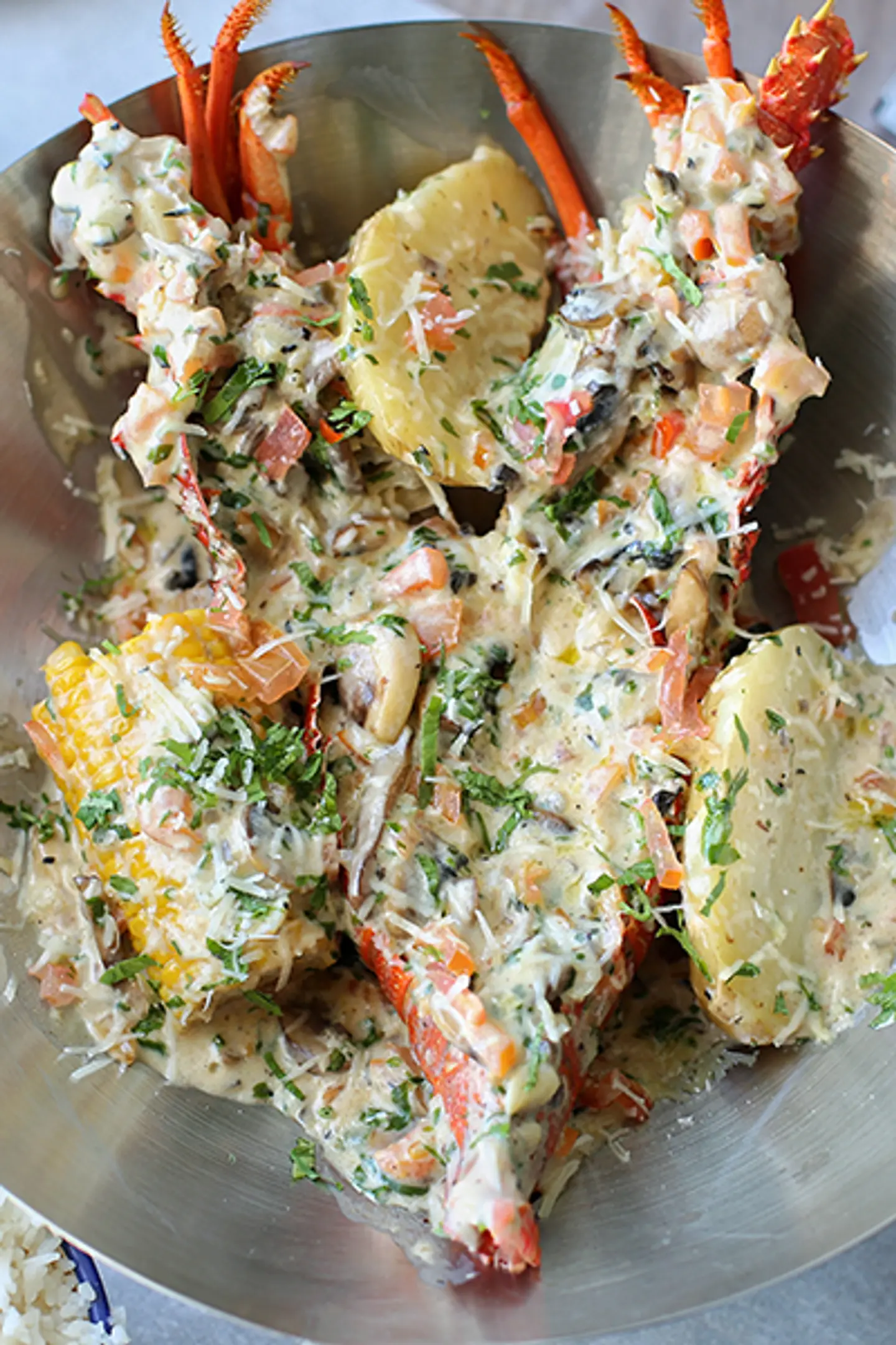 Lobster