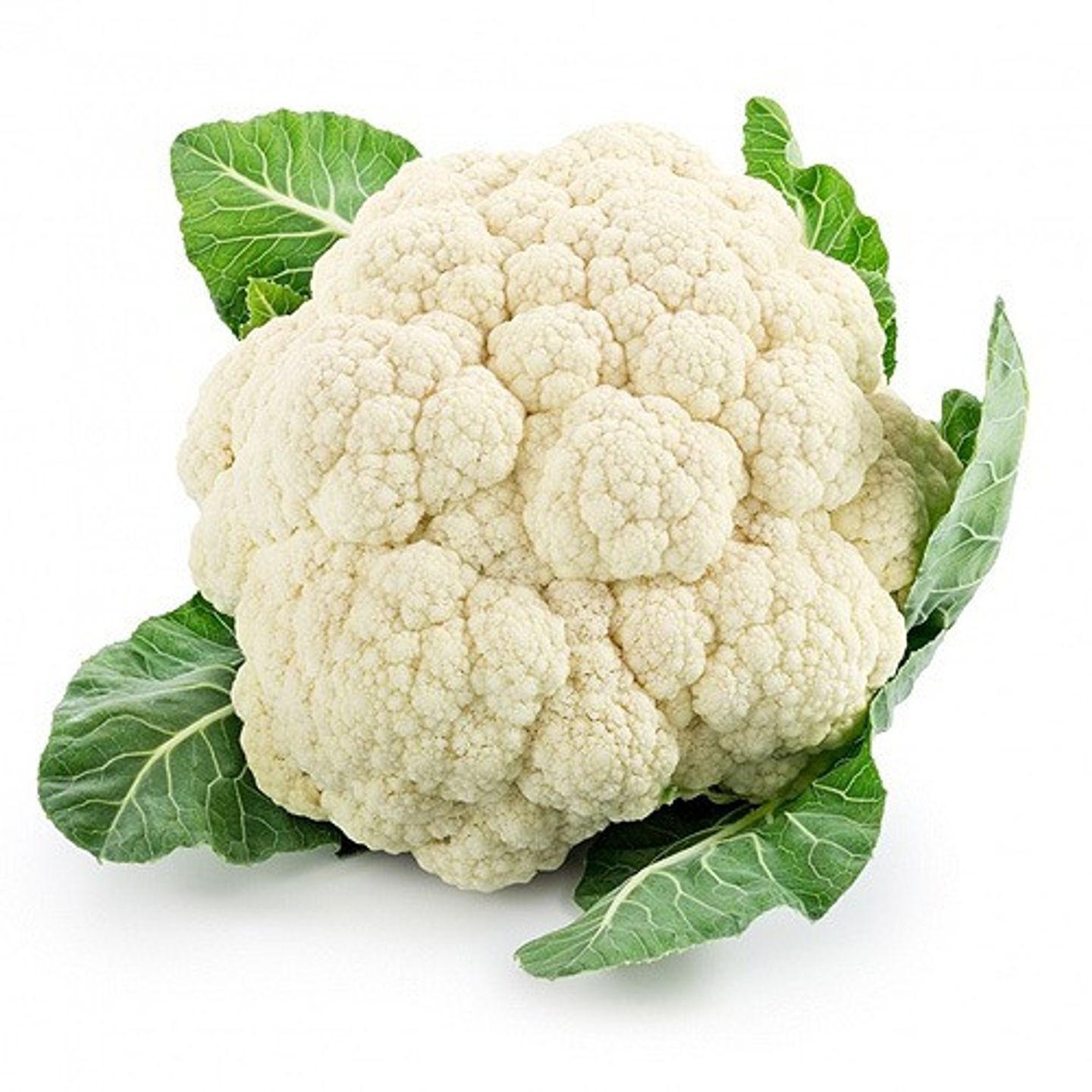 زهره