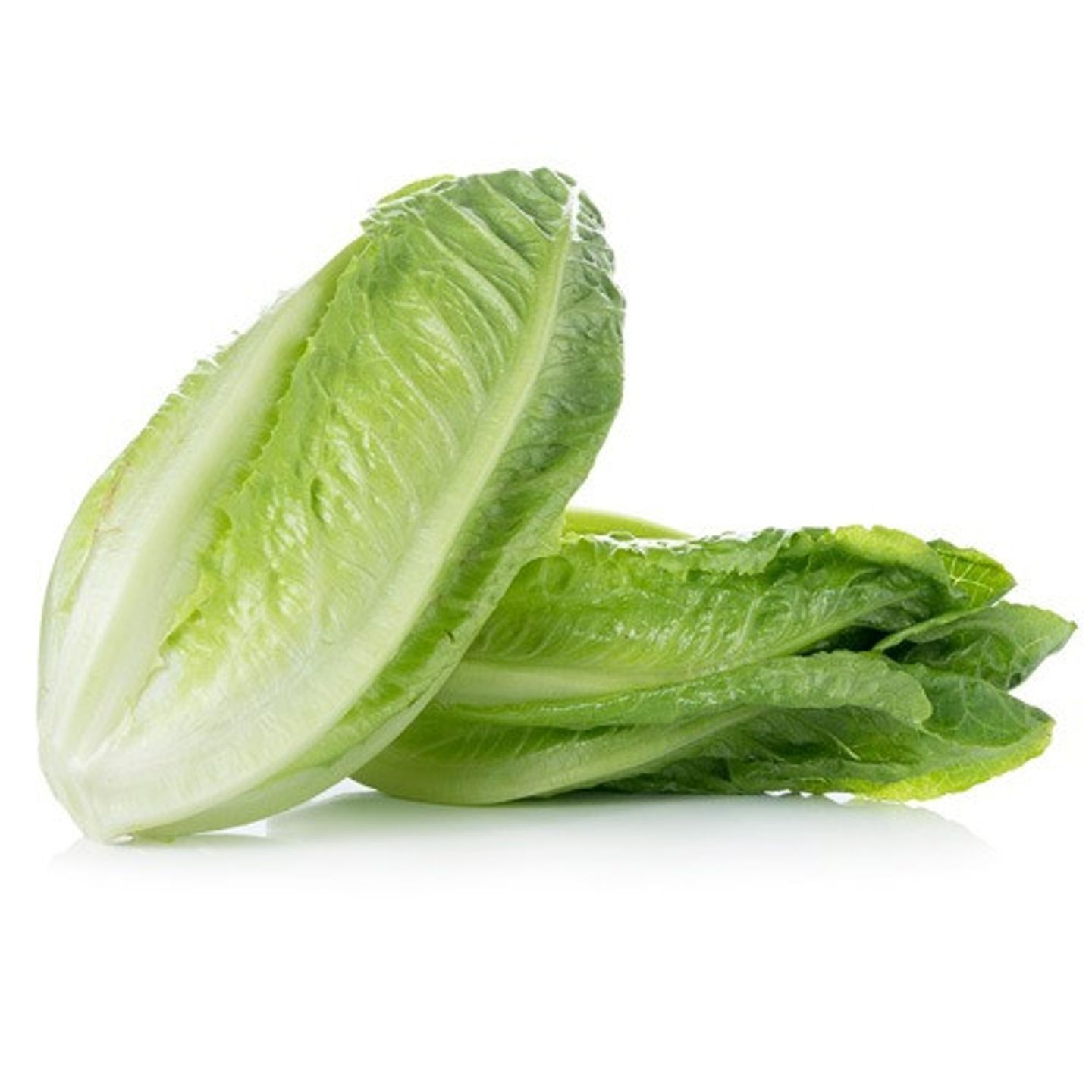 خس حزمه