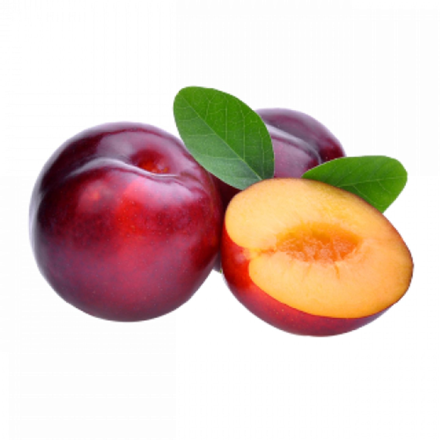 بخارى حمراء ٥٠٠