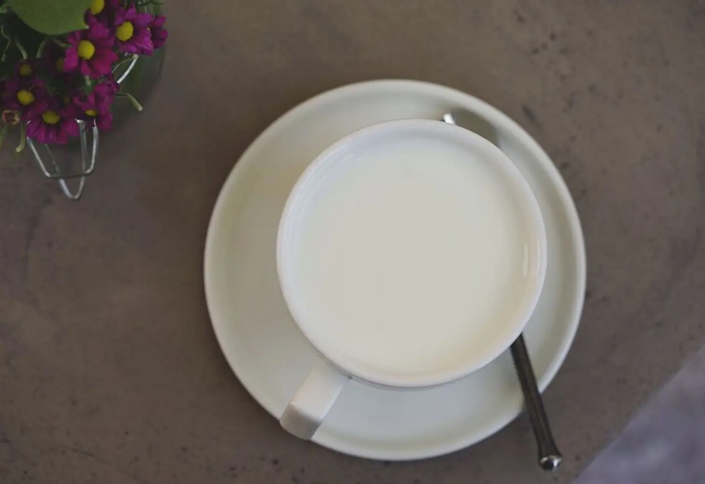 Hot Milk