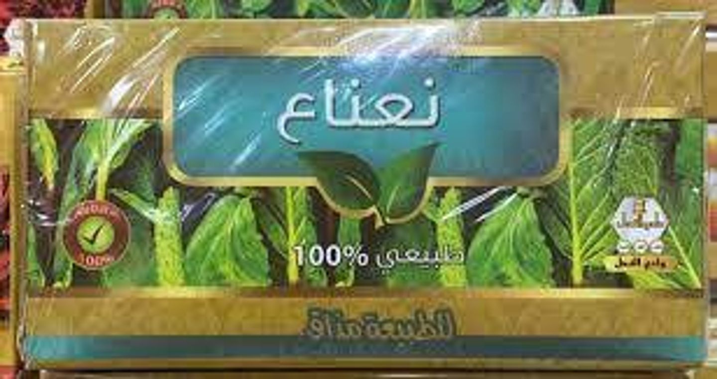 Wadi Al Nahil Wild Mint Drink 30 Bags