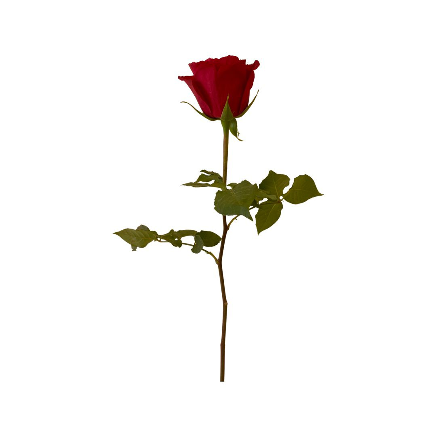ج1002