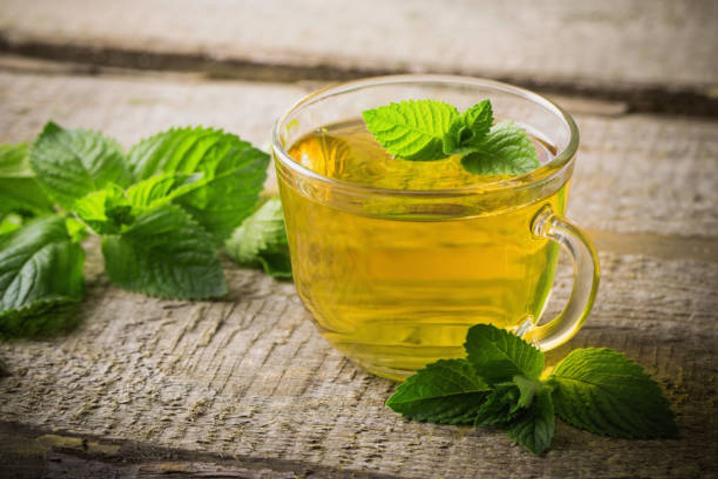 Mint - 1 L