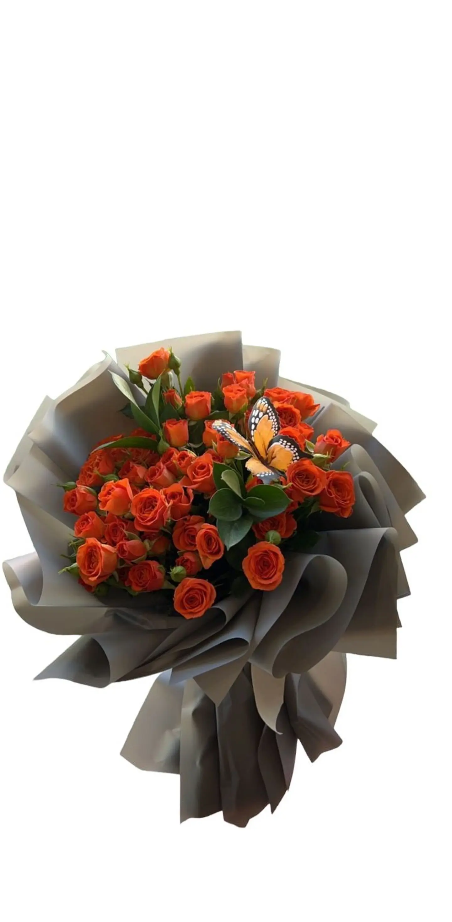 Baby Rose Orange