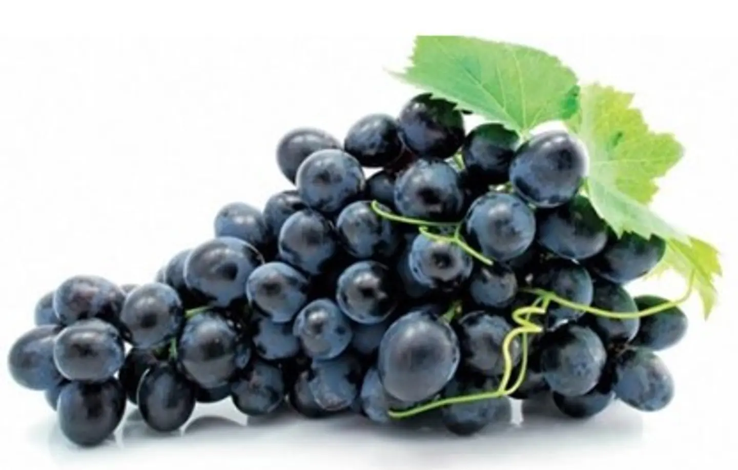 Black Grapes