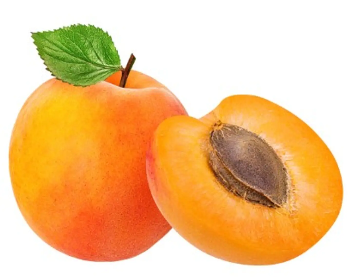 Apricot