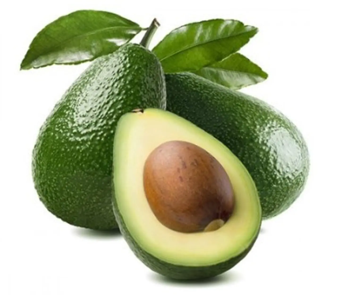 Avocado