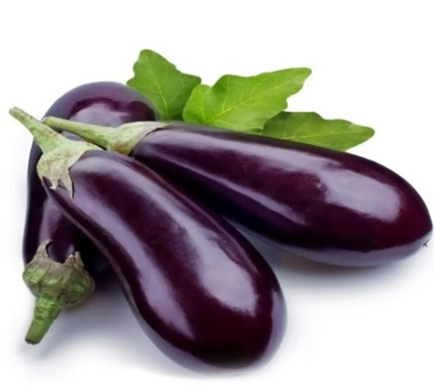 Eggplant