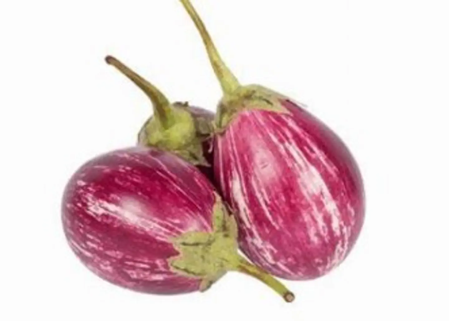 Red Eggplant