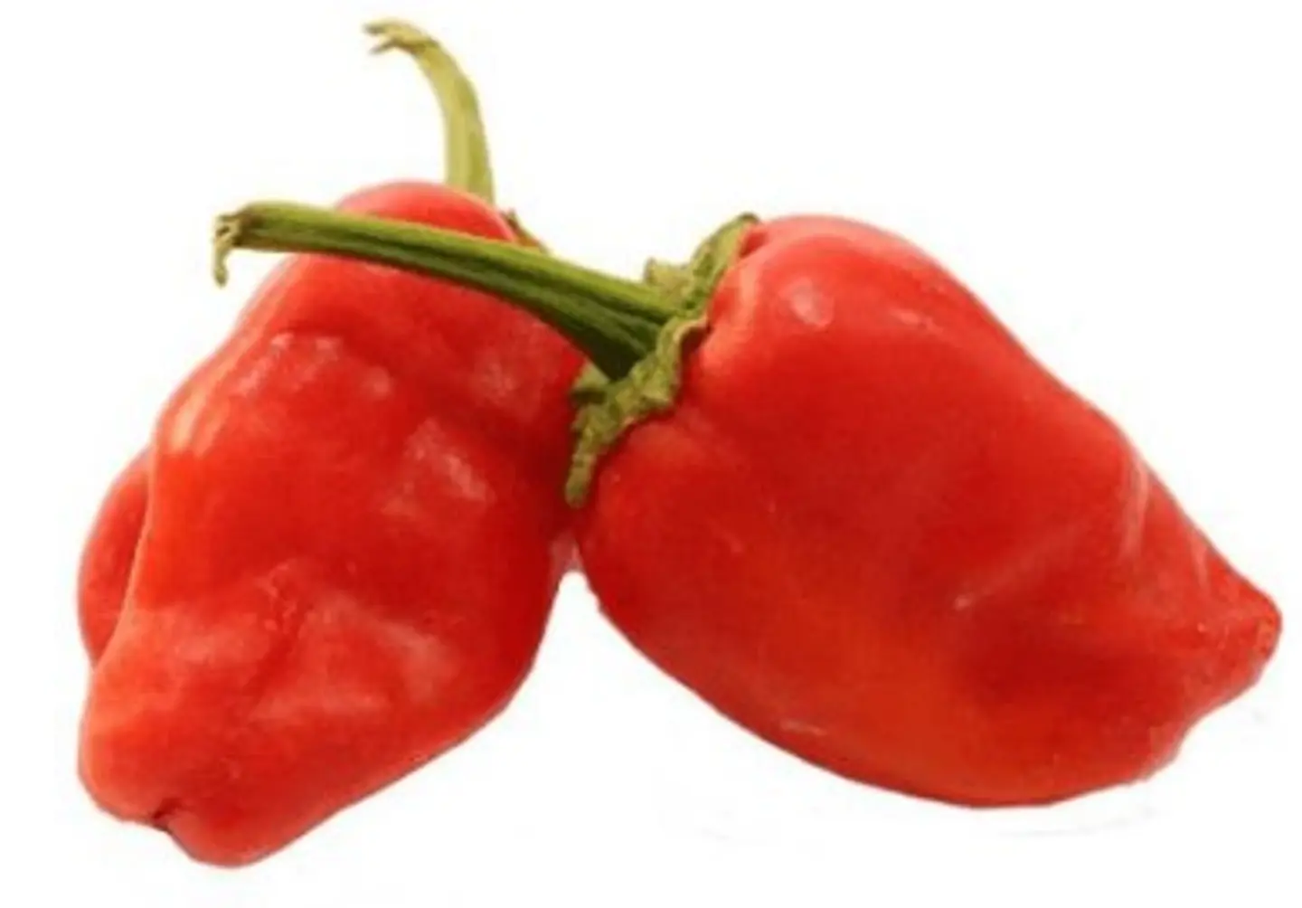 Blond Red Pepper