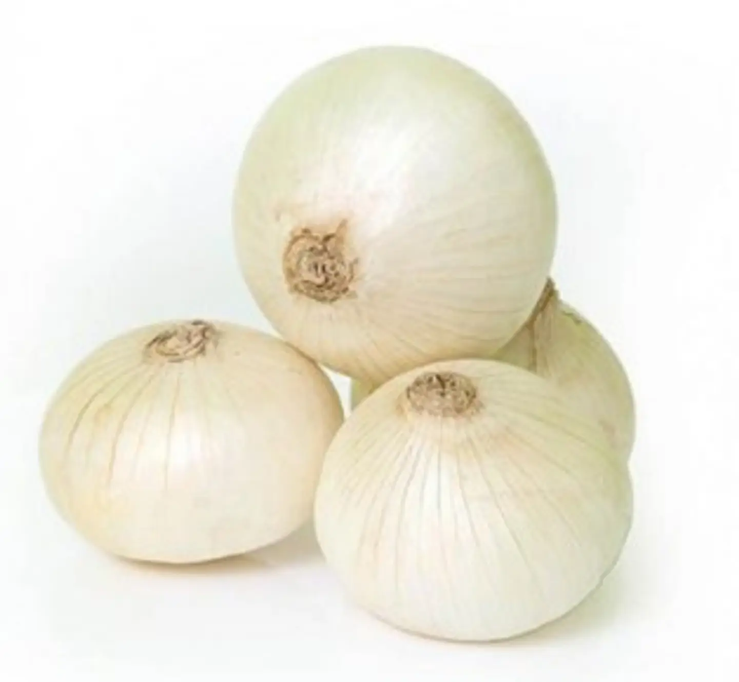 White Onion