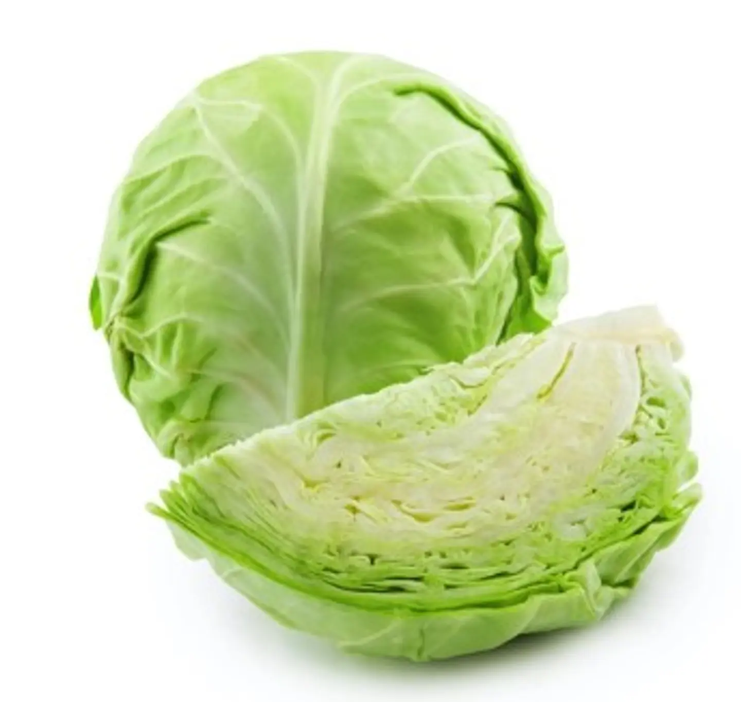 Regular Cabbage