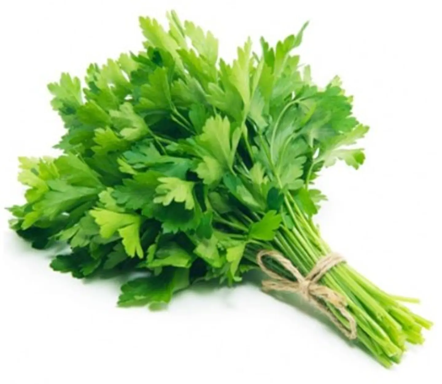 Parsley