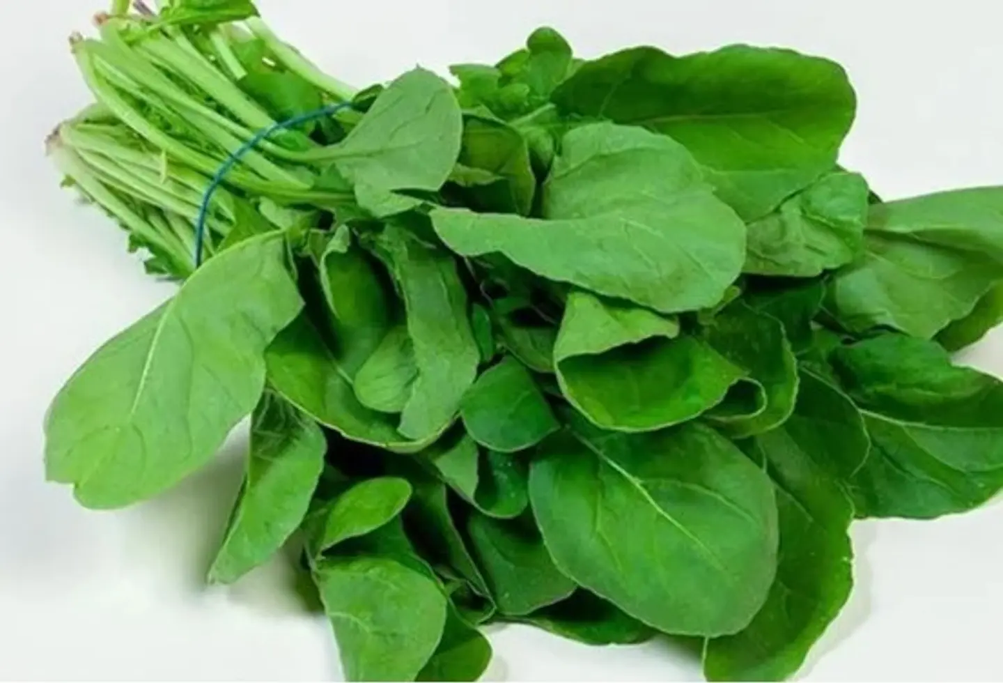Watercress