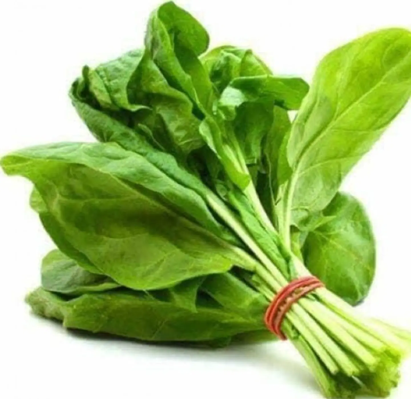 Chard
