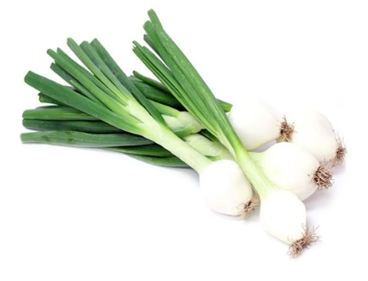 Green Onion
