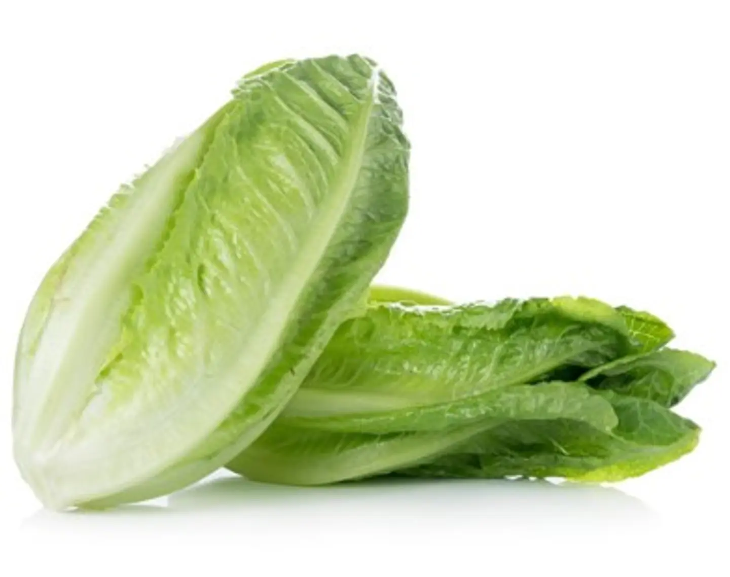 Lettuce