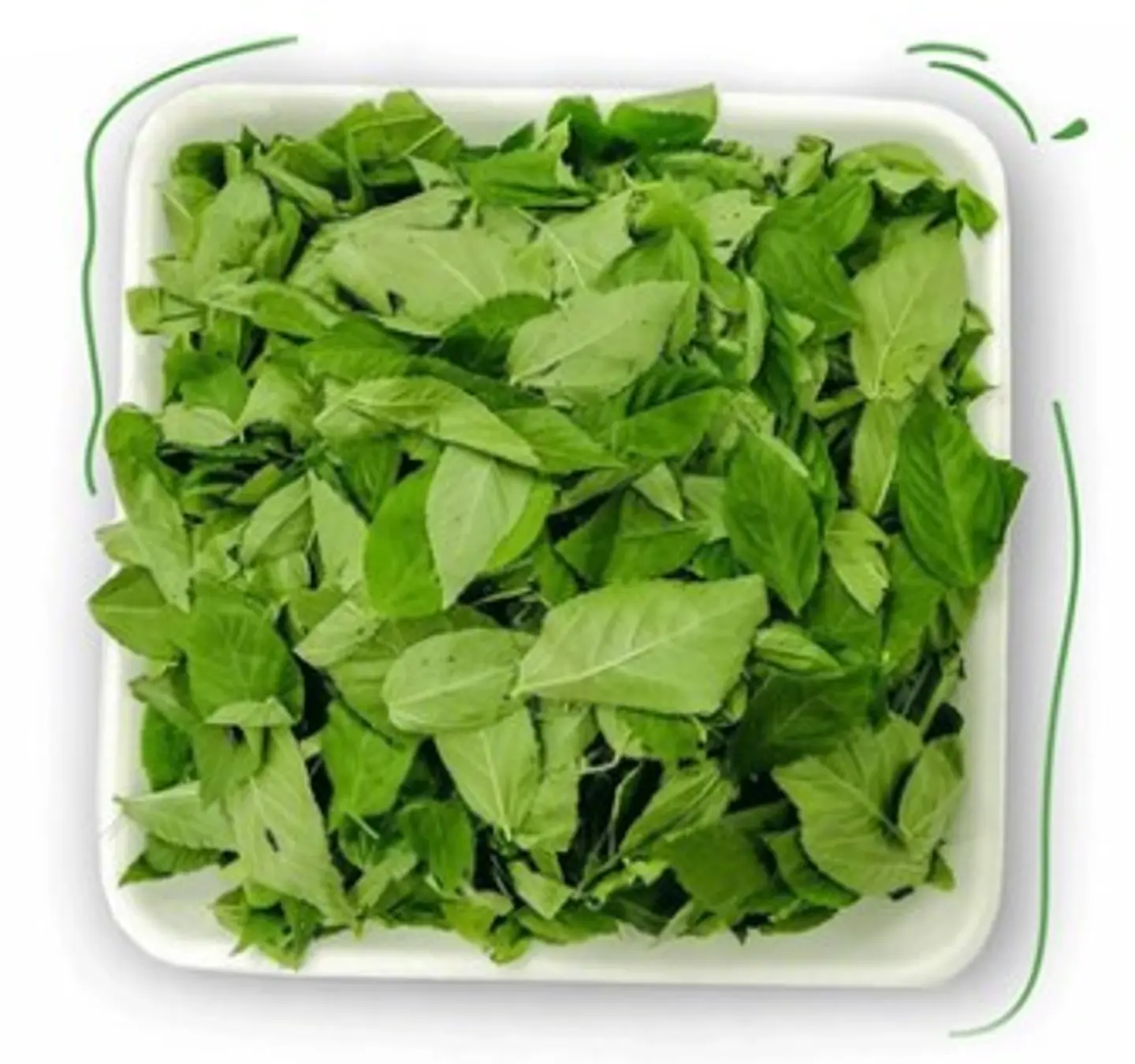 Molokhia, Chopped