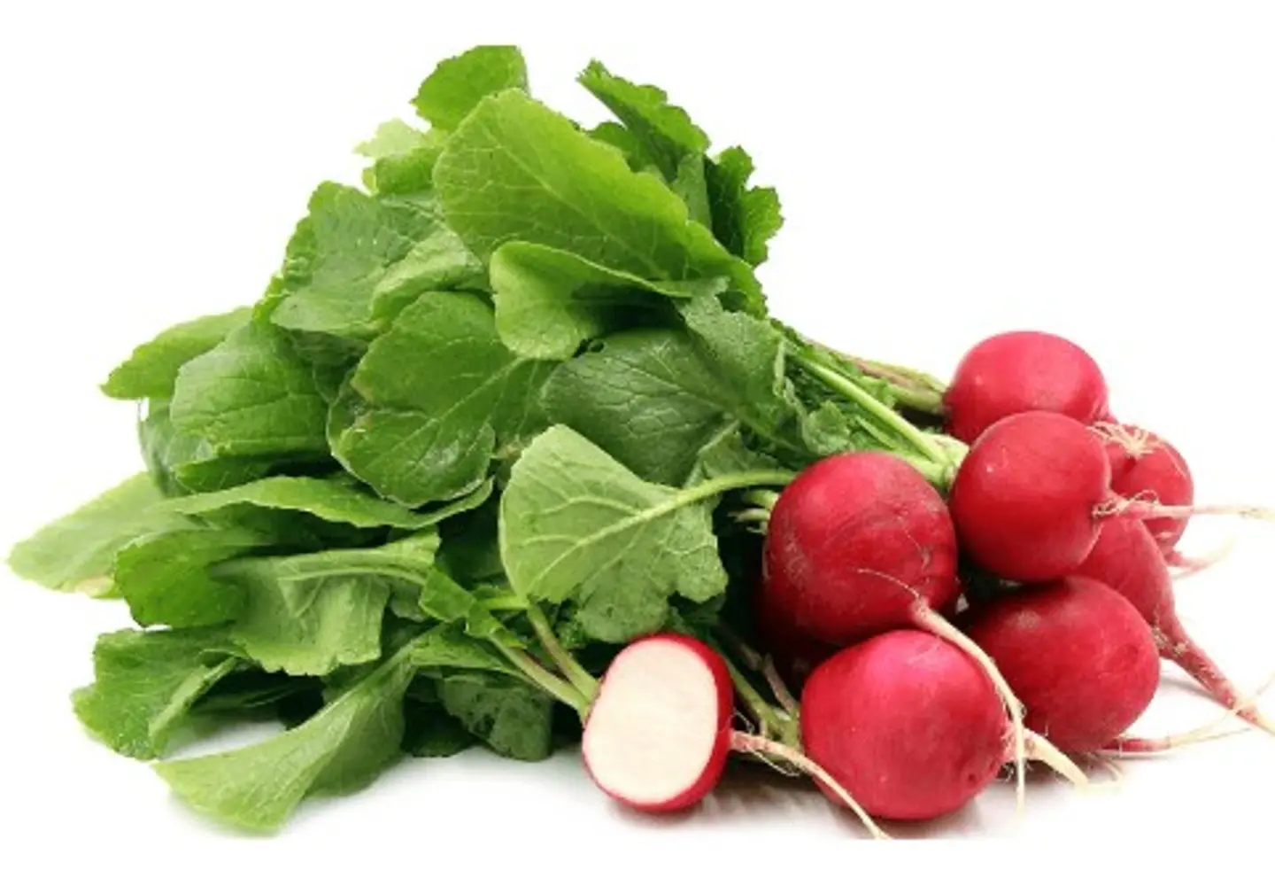 Red Radish