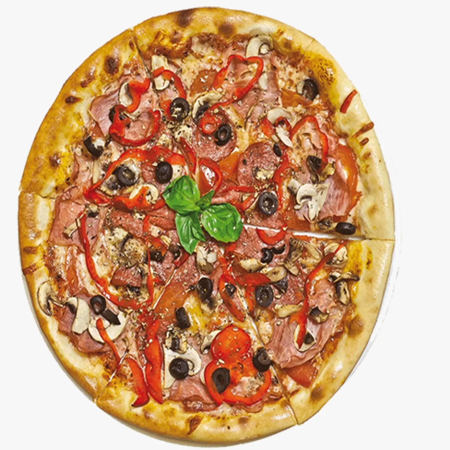 سبيشل بيروت