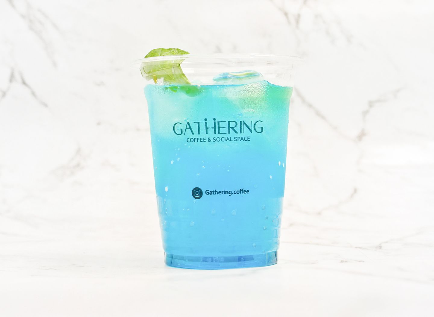 Gathering Blue