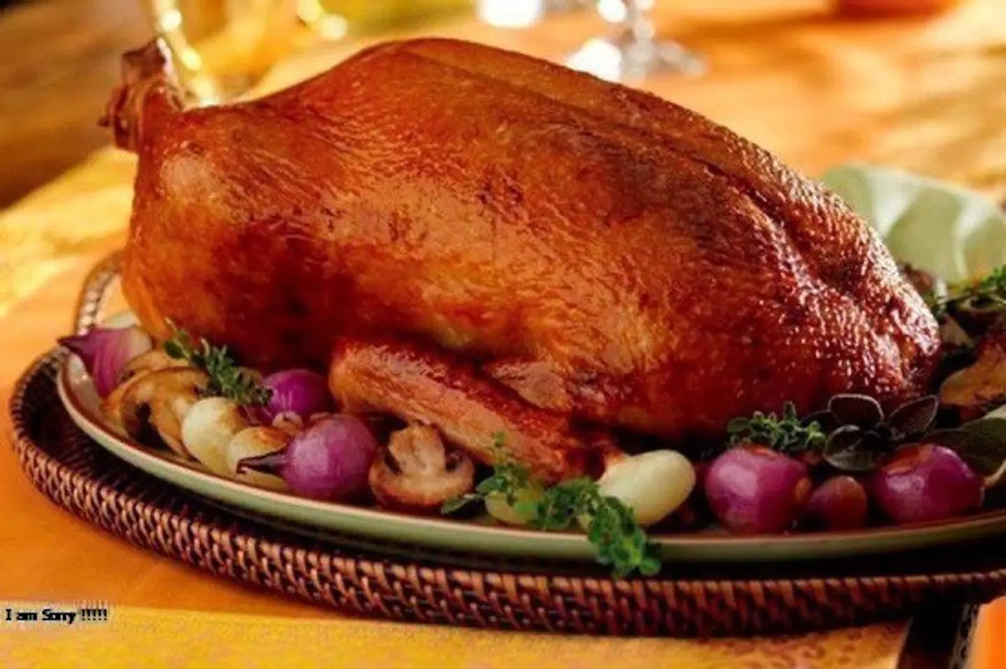 Duck Breast