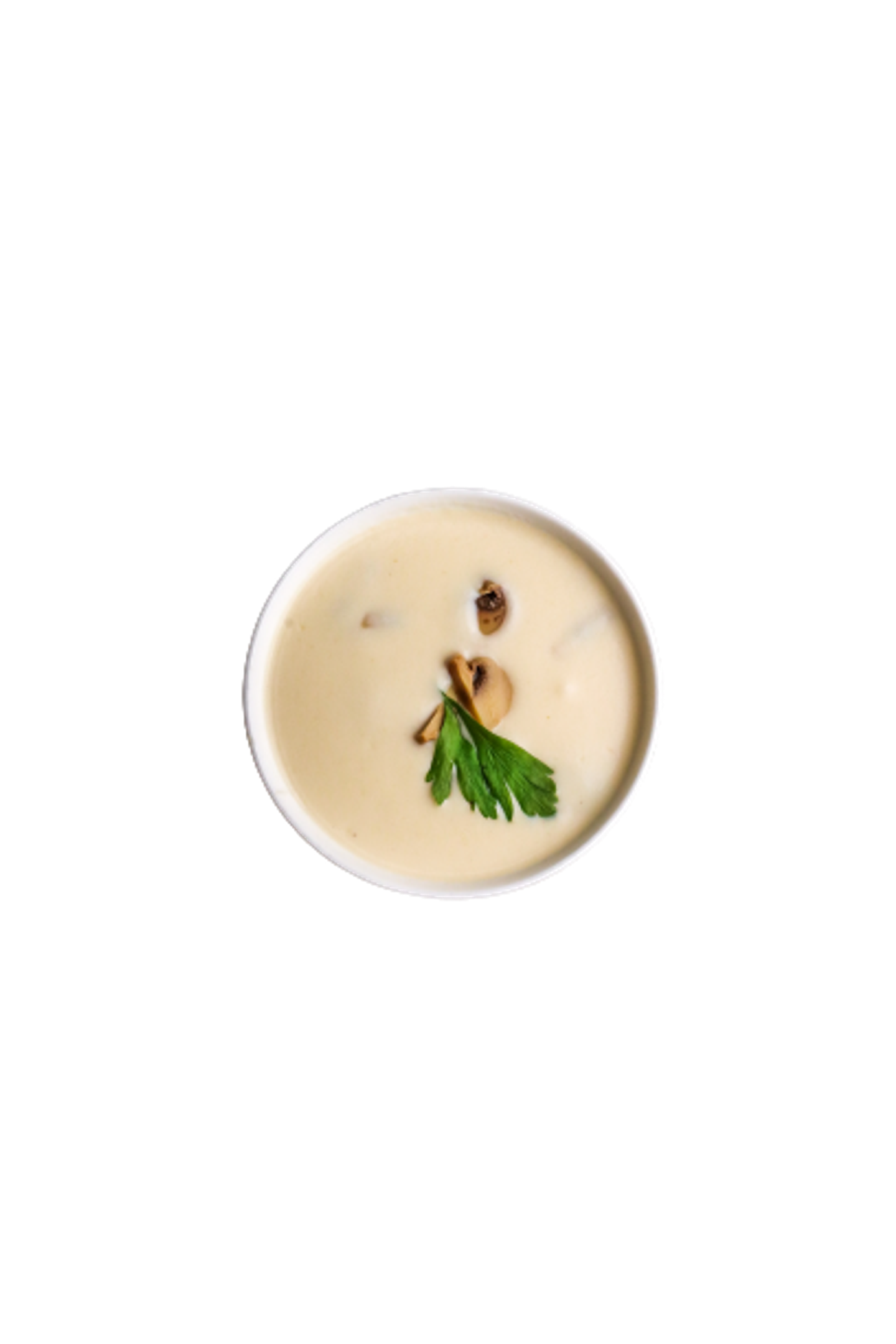 شوربة مشروم بالكريمة