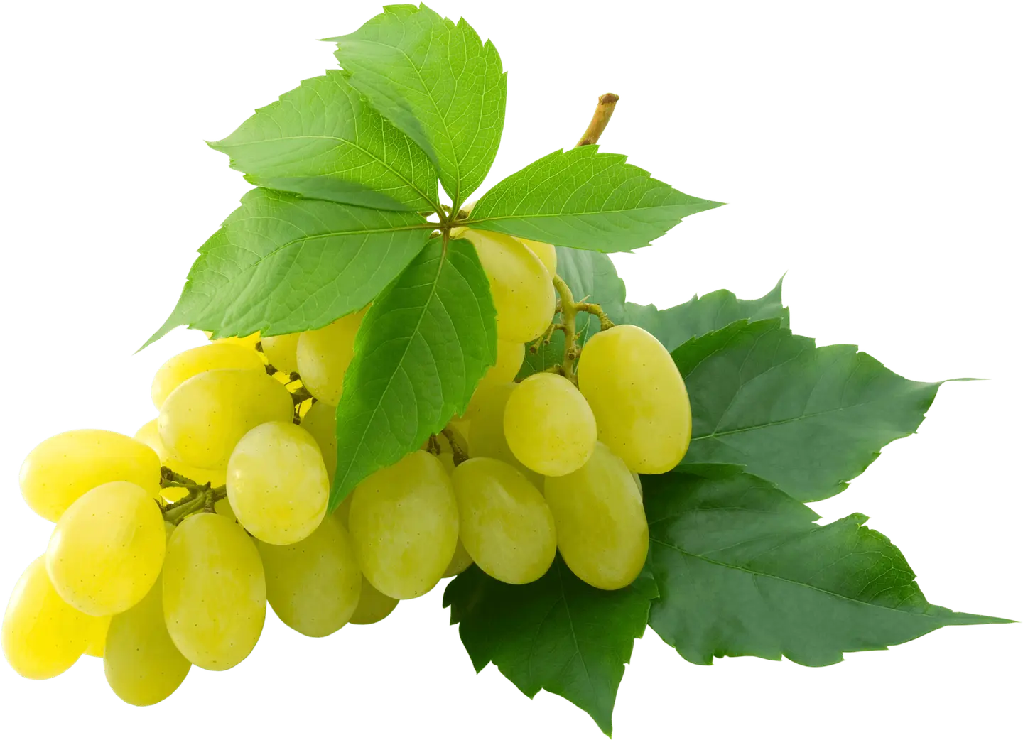 Grapes Green Pack 500 Gm