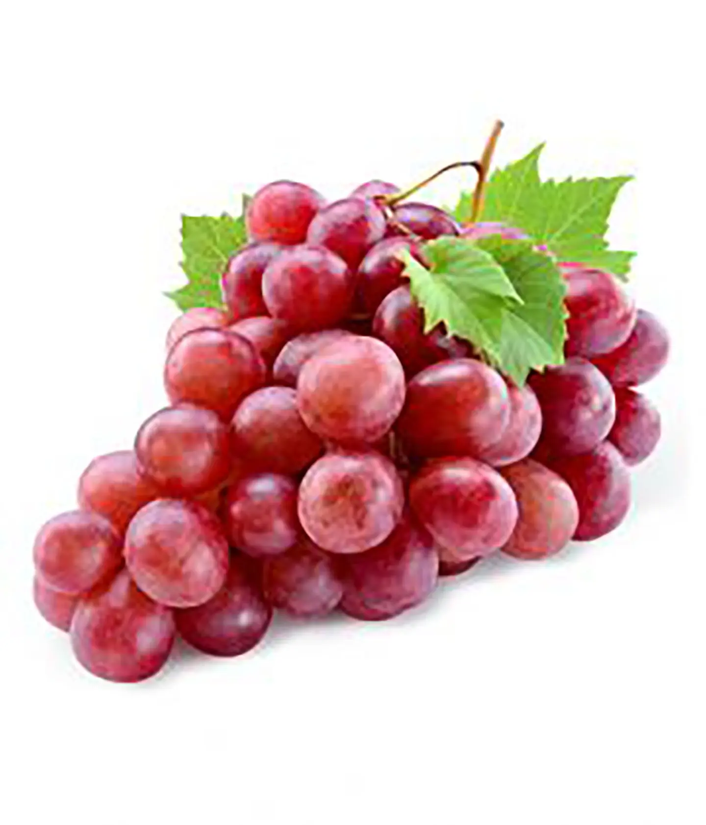 Grapes Red Imported (Kg)