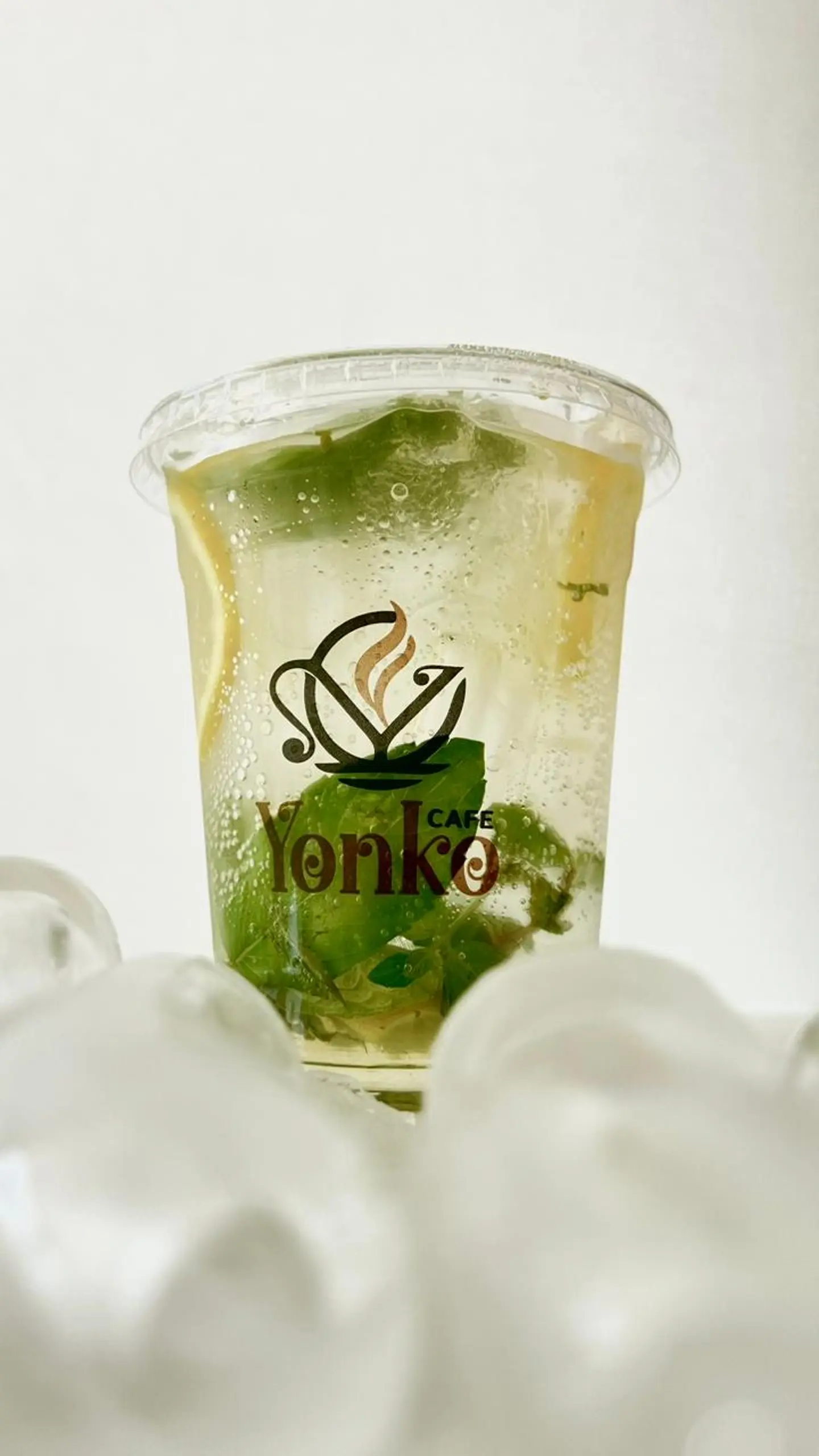 Lemon And Mint Mojito