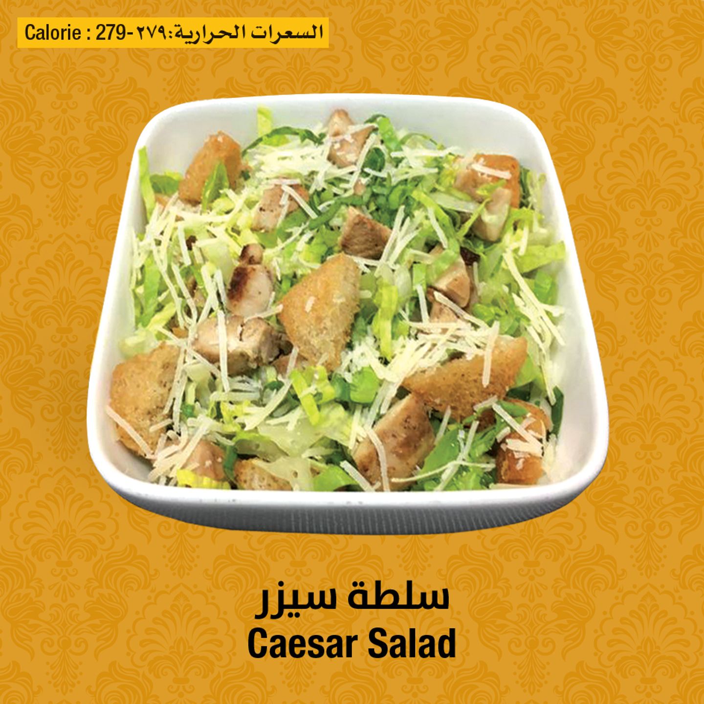 سلطة سيزر دجاج
