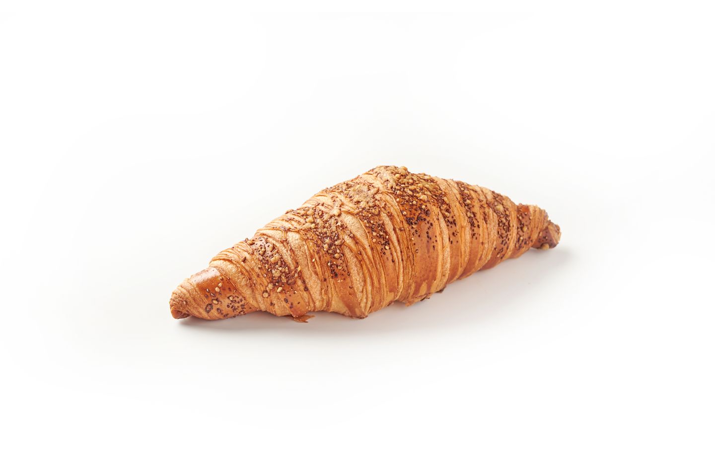 Parmesan Croissant