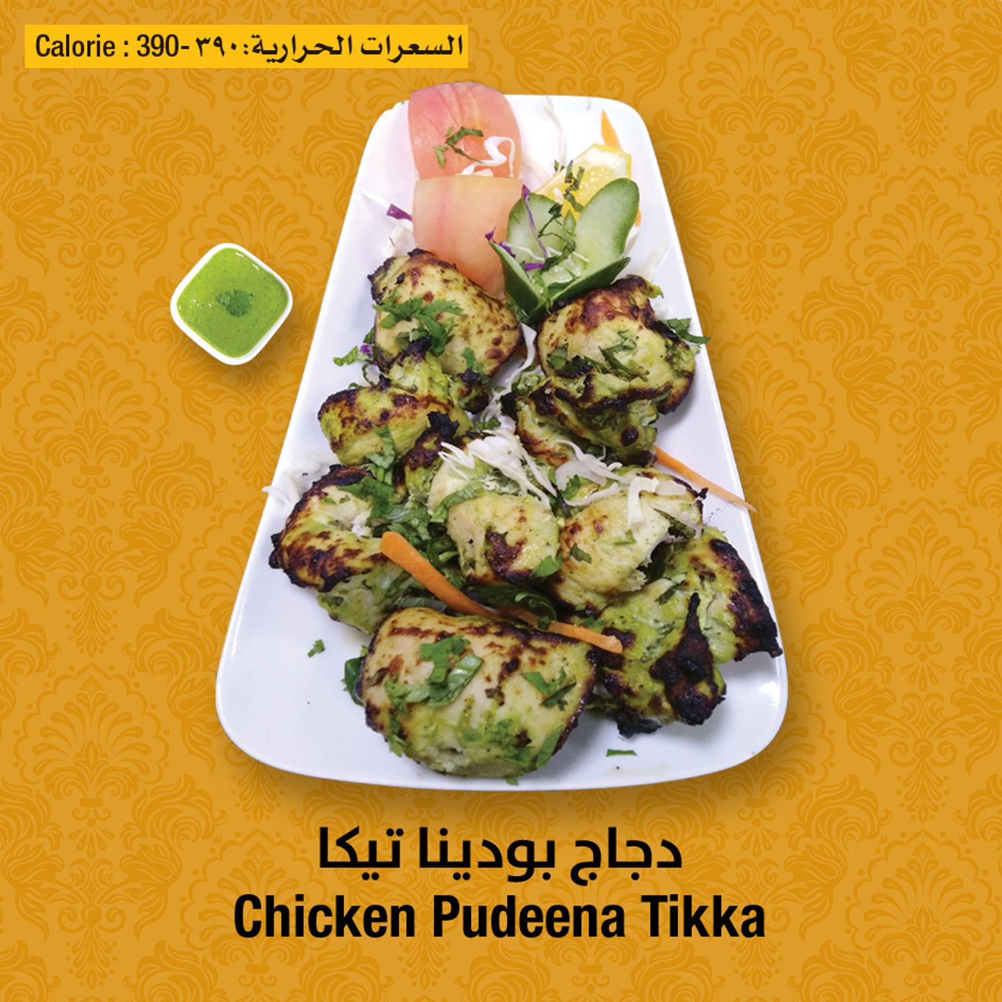 Grilled Pudina Tikka Chicken