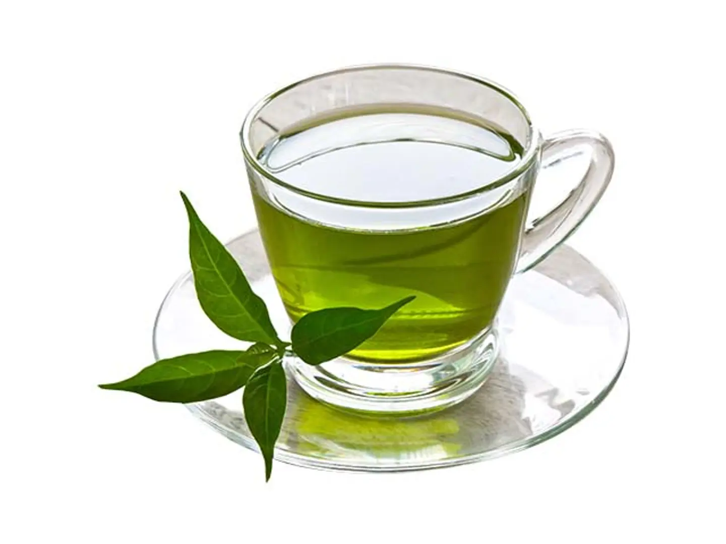 نعناع