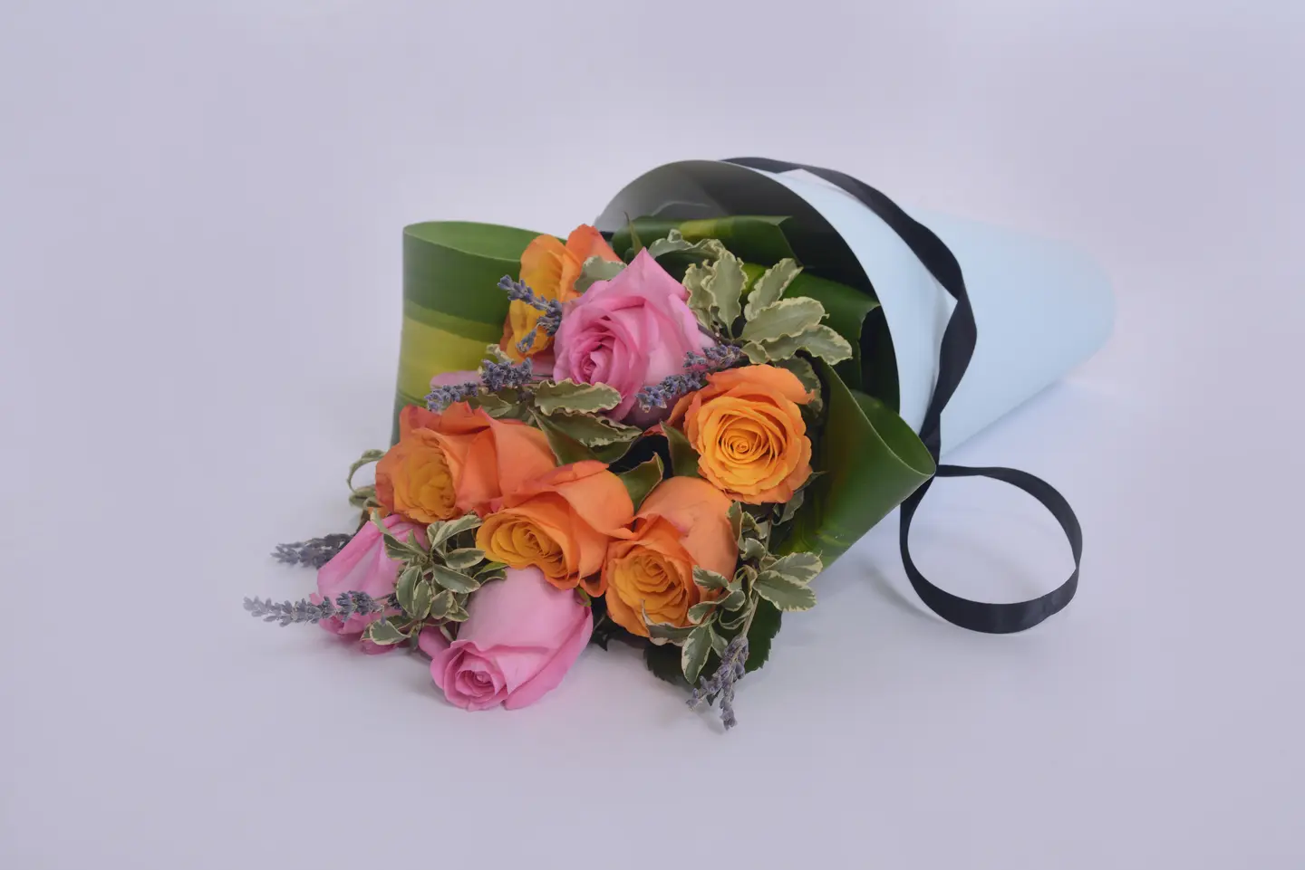 الشروق والربيع