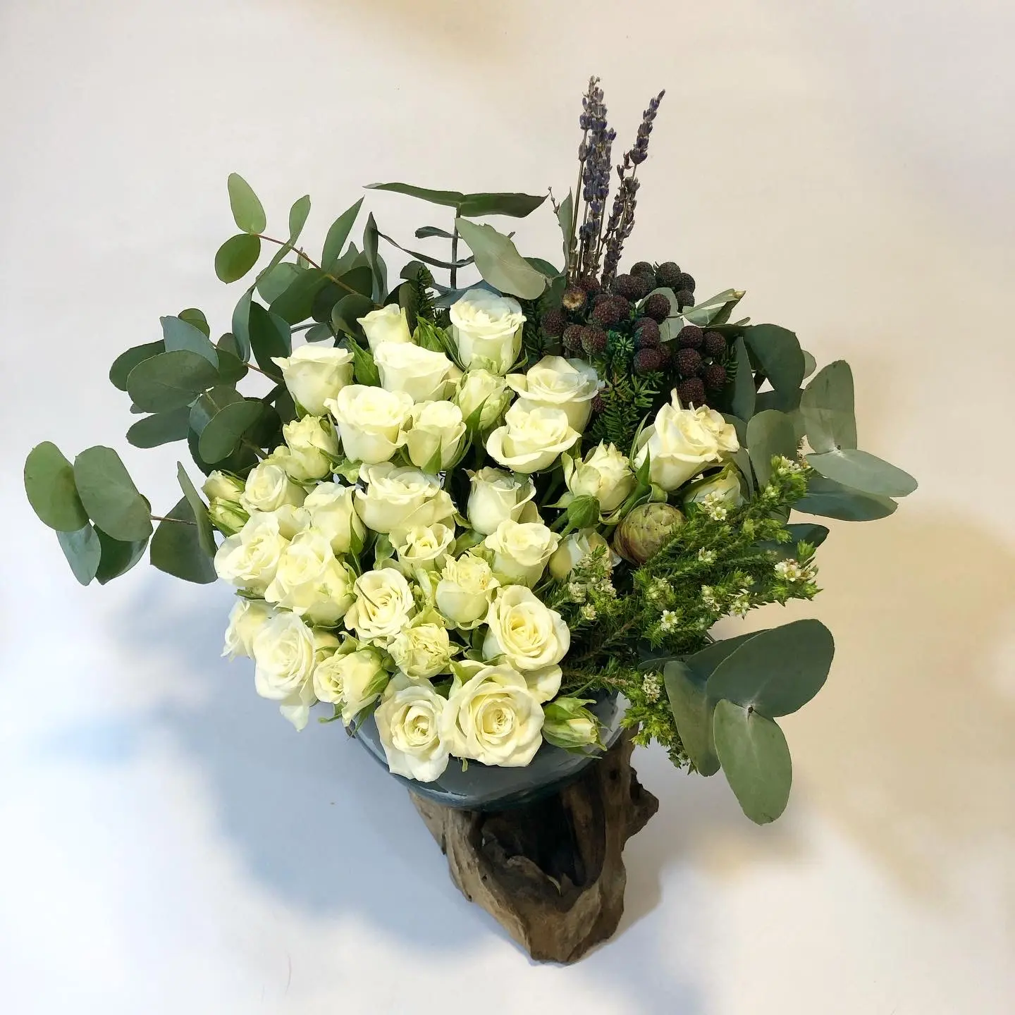 الغابة العملاقة