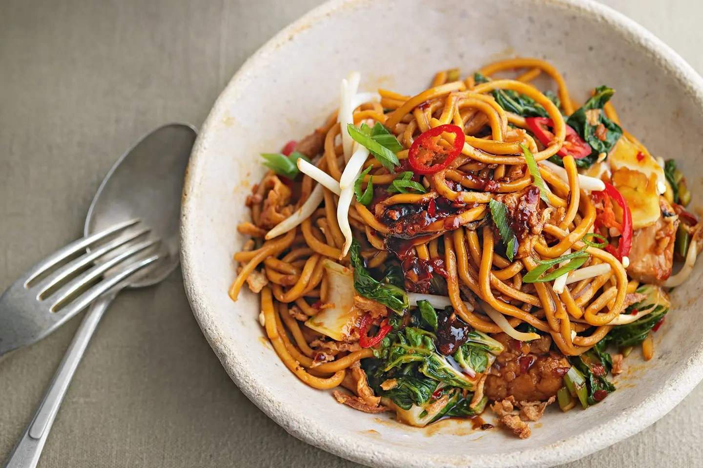 Fried Noodles With Chicken / Mee Goreng