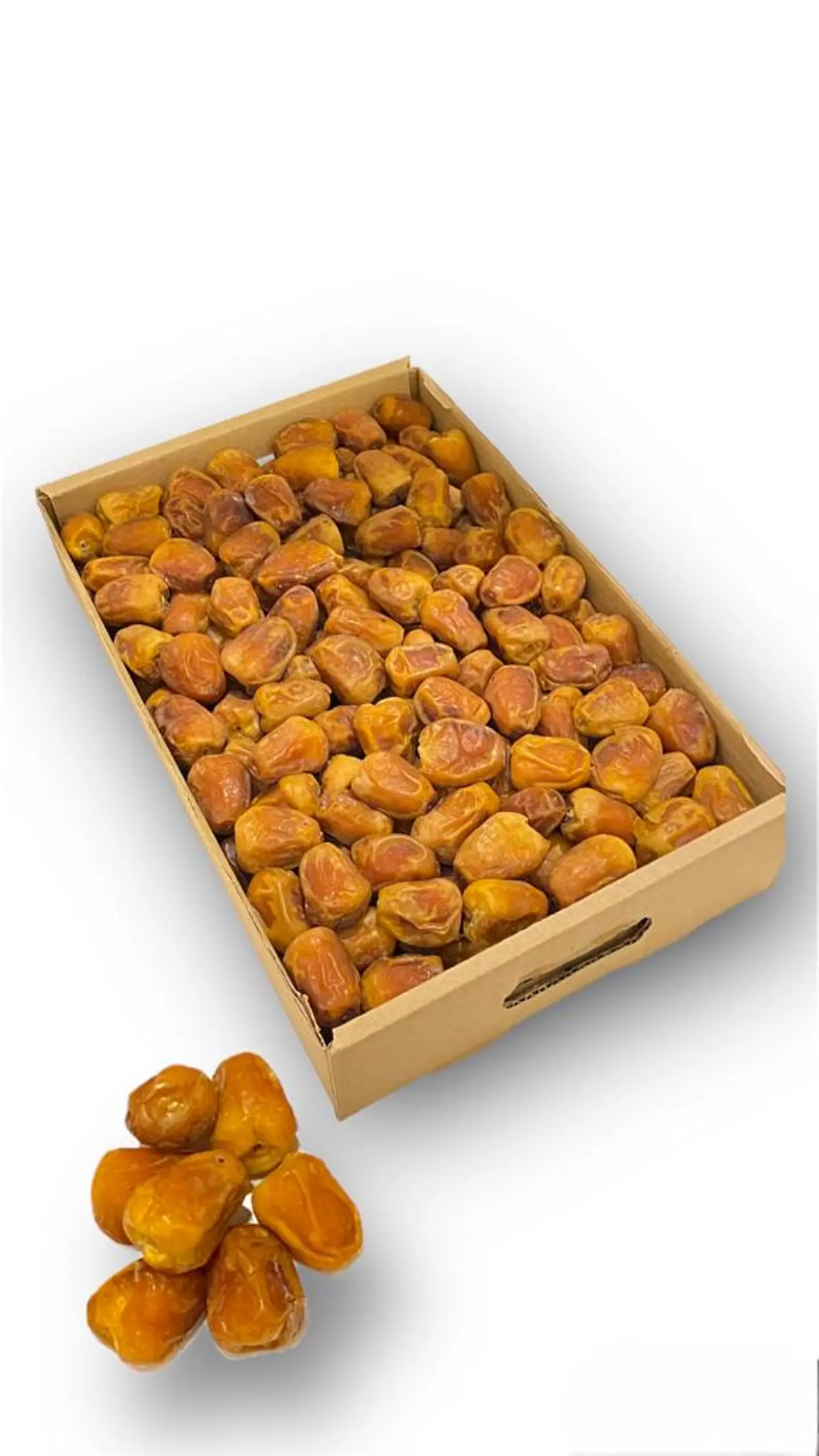 تمر سكري درجه اولى