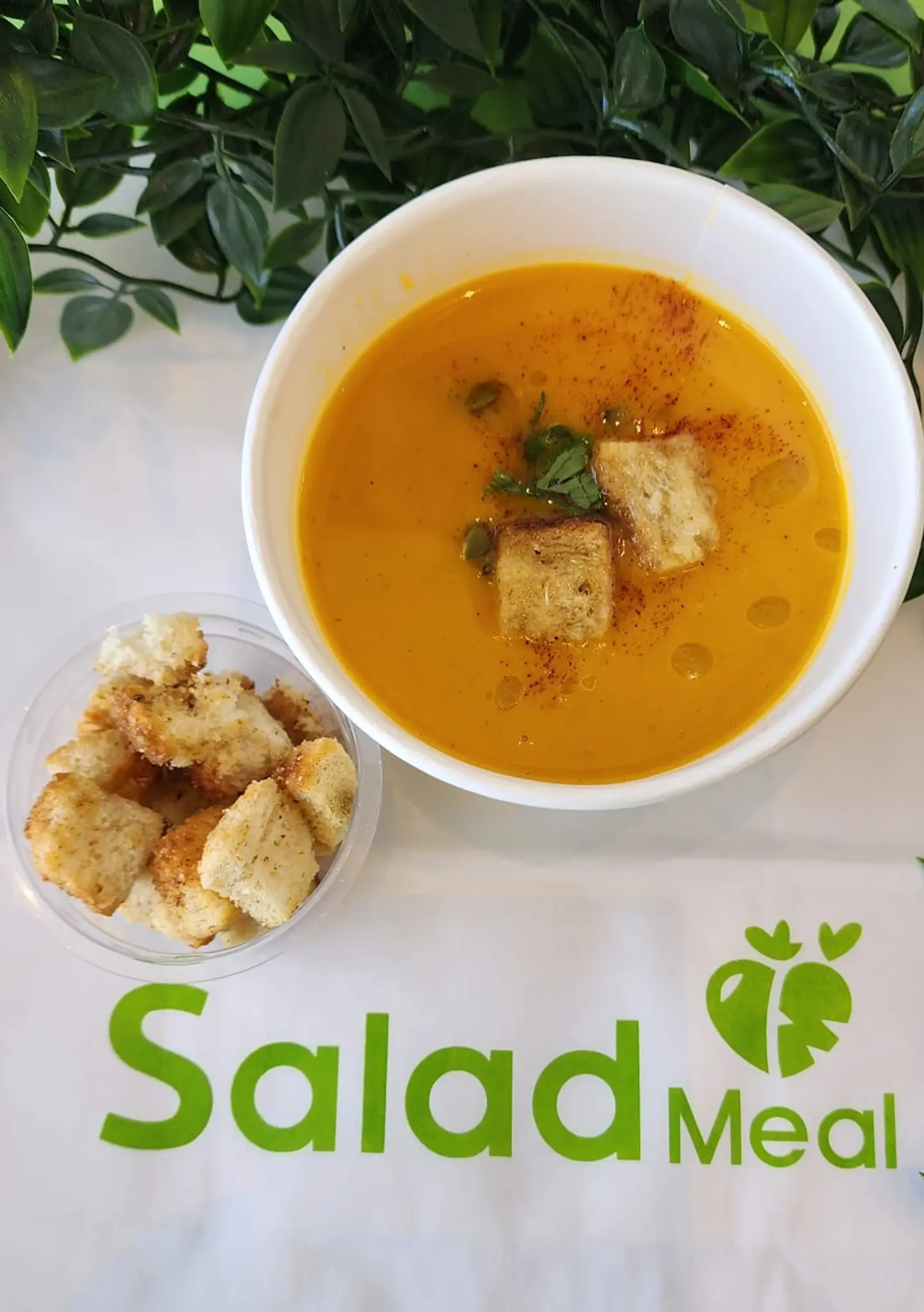 شوربة القرع