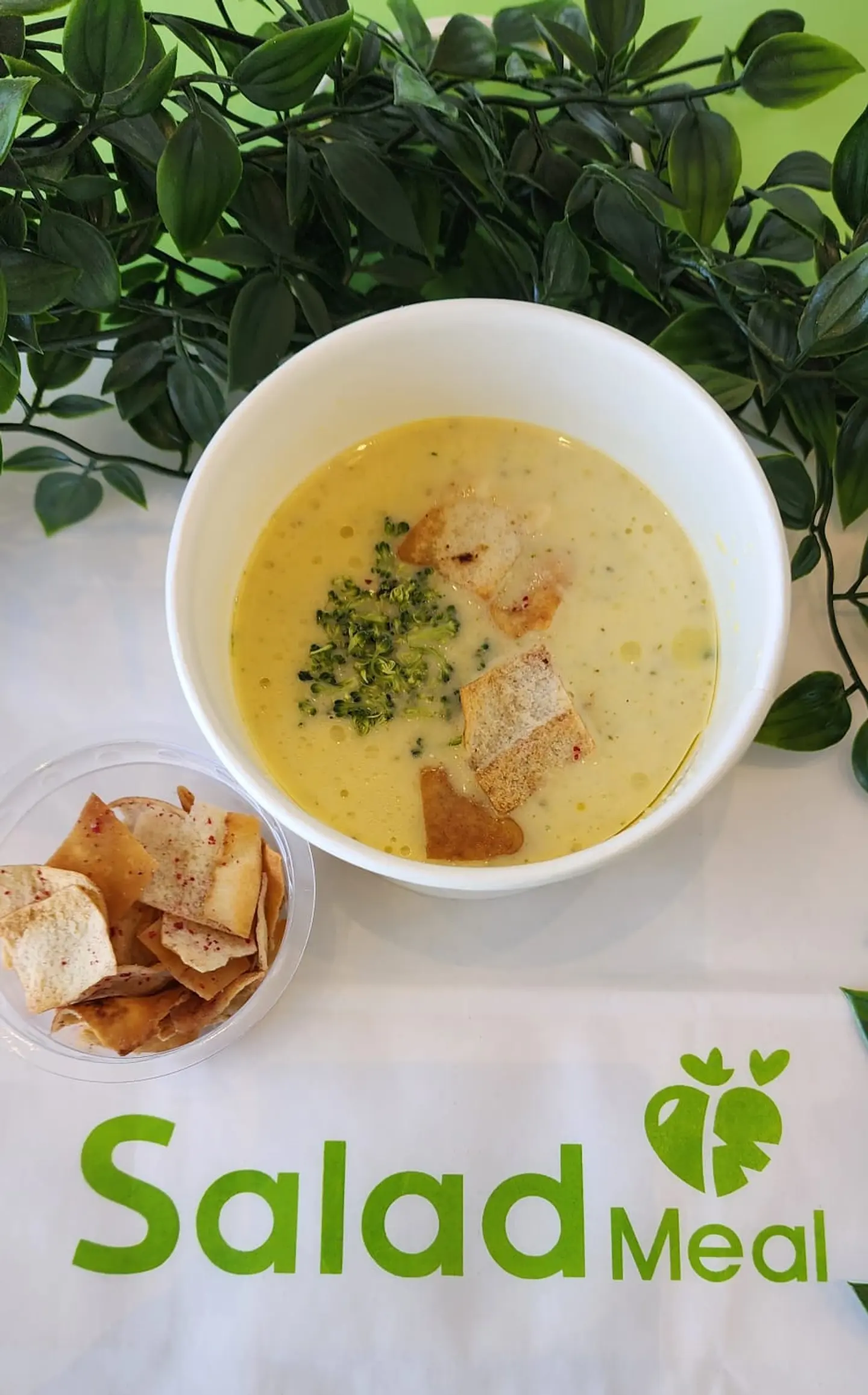 شوربة البروكلي